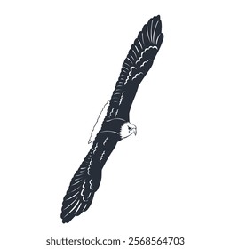 eagle soaring silhouette, vector on white background