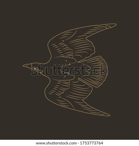 The eagle soars  looking into the distance. Silhouette of an eagle.