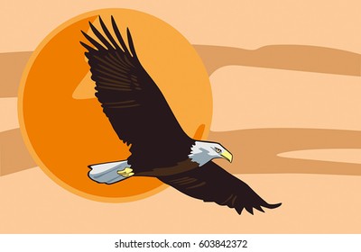 Eagle soars in the orange sky