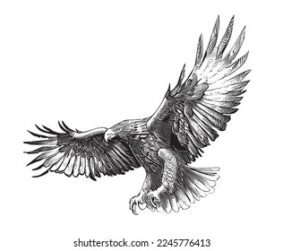 Eagle with spread wings sketch, hand drawn in doodle style Vector illustration