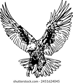 Eagle with spread wings vector illustration