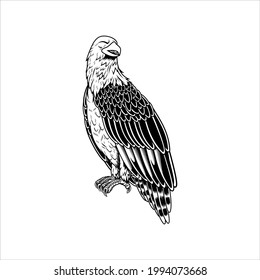 eagle sticker art vector illustration