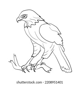 Eagle stripes perched on a branch preparing to fly.Isolated vector illustration on a white background.