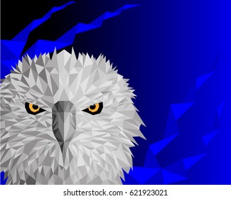 Eagle in style low poly and blue background
