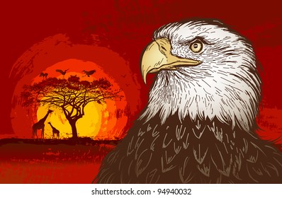 Eagle at sunset