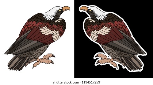 Japanese Eagle Tattoo High Res Stock Images Shutterstock