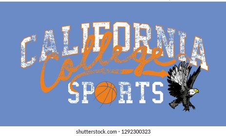 Eagle team college style vector art