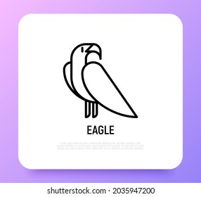 Icono de línea delgada águila. Ilustración vectorial moderna, símbolo de libertad.