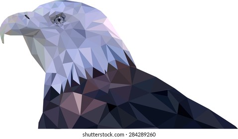 eagle triangles low poly art vector