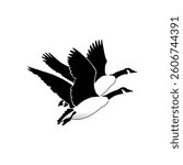 Eagle, tuntuni, katbirali, Two geese in flight, black and white illustration