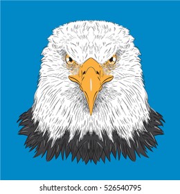 eagle,  USA vector