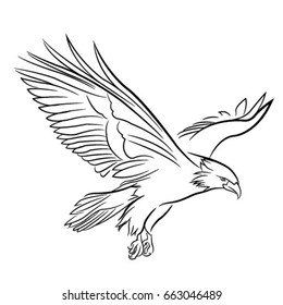 Eagle Vector