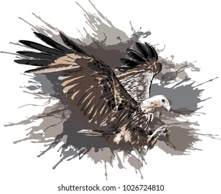 Eagle -  Vector art