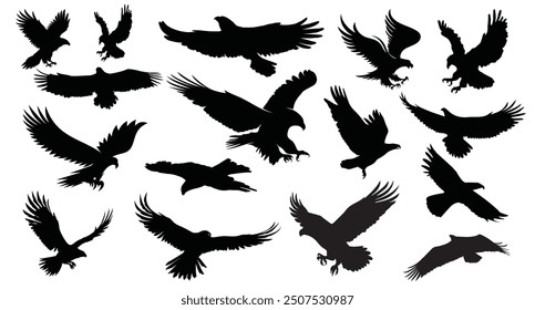 Eagle Vector Art Collection illustration black and white 