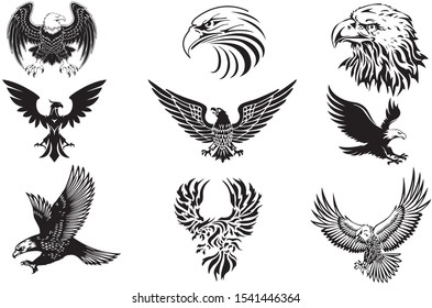 eagle vector collection for illustrative creation