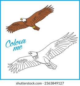 Eagle vector colouring book for kids
