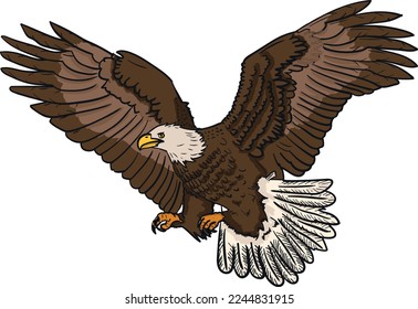 Eagle  Vector detailed  Illustration - Eagle- hand  drawn