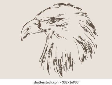 eagle vector, hand draw sketch 