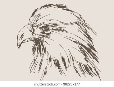 eagle vector, hand draw sketch 