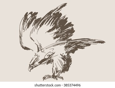 eagle vector, hand draw sketch 
