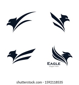Eagle vector icon illustration design
