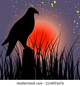 eagle vector illustration