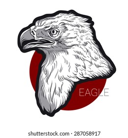 Eagle. Vector illustration