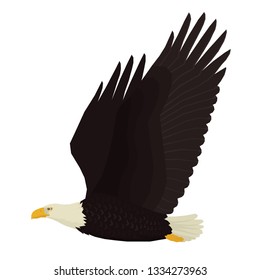 Eagle Vector illustration of bird Isolated object set