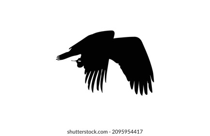 eagle vector illustration black and white design