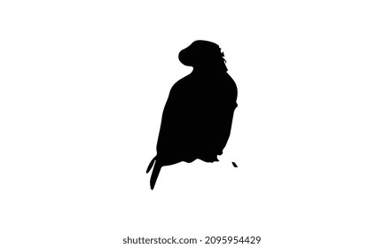 eagle vector illustration black and white design