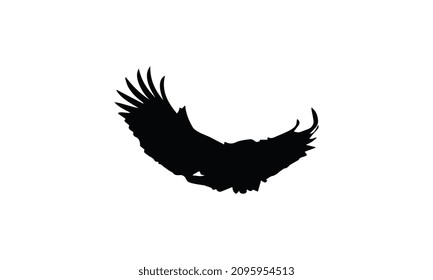 eagle vector illustration black and white design