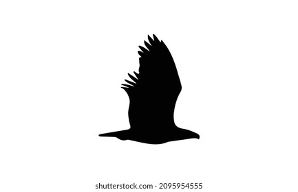 eagle vector illustration black and white design