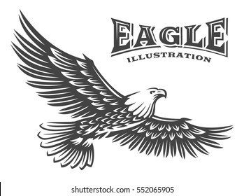 Eagle vector illustration, emblem design on white background