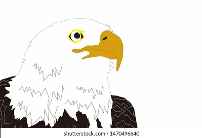Eagle Vector Illustration isolated on white