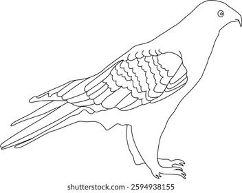 Eagle Vector Illustration – Majestic Bird of Prey in Flight