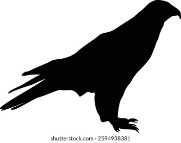 Eagle Vector Illustration – Majestic Bird of Prey in Flight