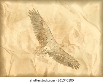 Eagle vector illustration. Old paper. Scrap paper.