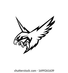 Eagle vector illustration on isolated white background