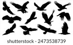 Eagle Vector Illustration Set, Black and White Silhouettes. Collection of Different Eagle Poses, Perfect for Logos, Designs, and More.