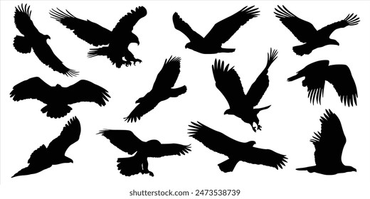 Eagle Vector Illustration Set, Black and White Silhouettes. Collection of Different Eagle Poses, Perfect for Logos, Designs, and More.