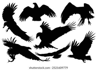 Conjunto de Ilustración vectorial de águila. Descubra la majestuosa belleza de las águilas con este Vector blanco y negro. Colección de diferentes poses de águila, entusiastas de la vida silvestre y gráficos Perfecto para logotipos, Diseños