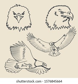 Eagle Vector Illustration Stock Vector. set vector
