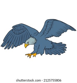 ilustración vectorial de águila, aislada en fondo blanco, vista superior