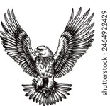 Eagle Vector Illustrations EPS FILE