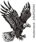 Eagle Vector Illustrations EPS FILE