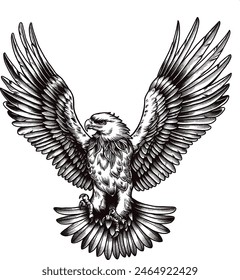 Eagle Vector Illustrations EPS FILE