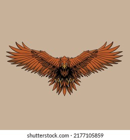 eagle vector illustrations specially made for branding needs and much more