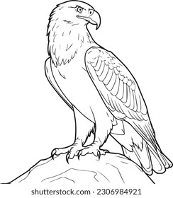 Adler: Vektorgrafik-Cartoon-Stil zum Färben