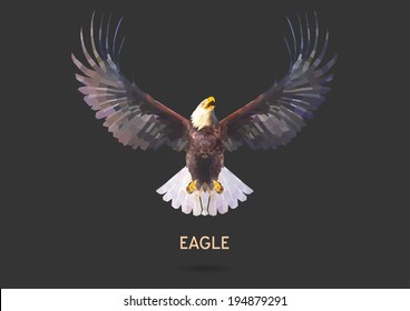 Eagle vector polygon geometric