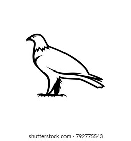 eagle vector silhouette